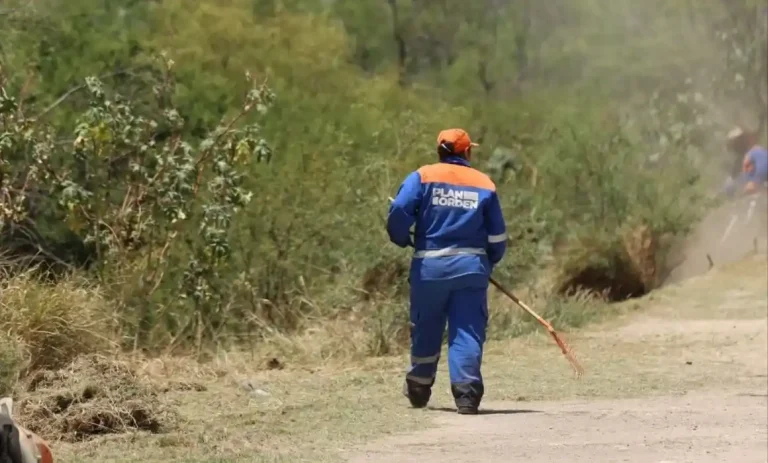 Trabajan para combatir plaga de mosquitos en el Querétaro 2000