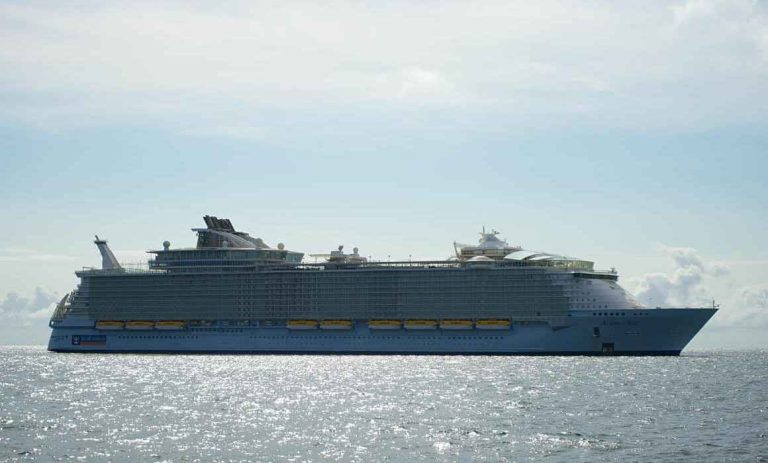 Advierte OMS sobre riesgo de contagio humano por hantavirus en crucero