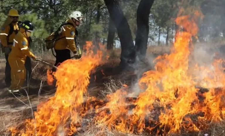 Disminuyen incendios en Querétaro pese a persistencia de altas temperaturas
